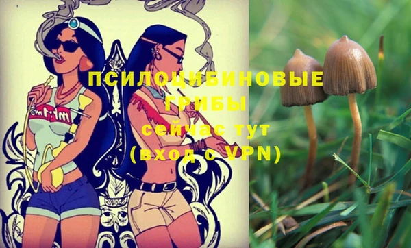 PSILOCYBIN Куйбышев