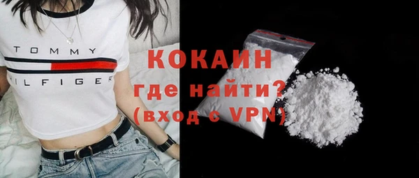 индика Кукмор