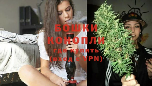 индика Кукмор