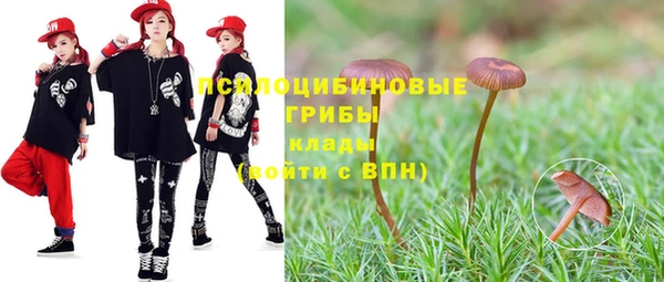 героин Лагань