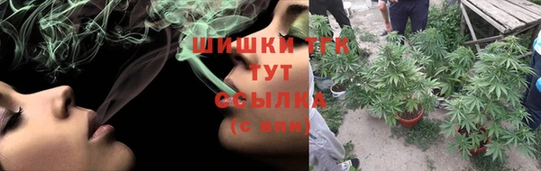 индика Кукмор