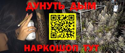 ГАЛЛЮЦИНОГЕННЫЕ ГРИБЫ Канаш