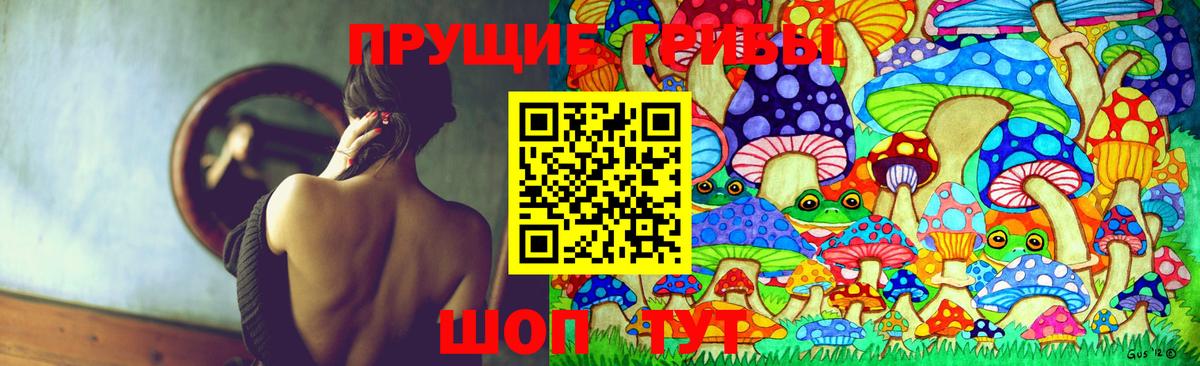 Псилоцибиновые грибы Cubensis Менделеевск